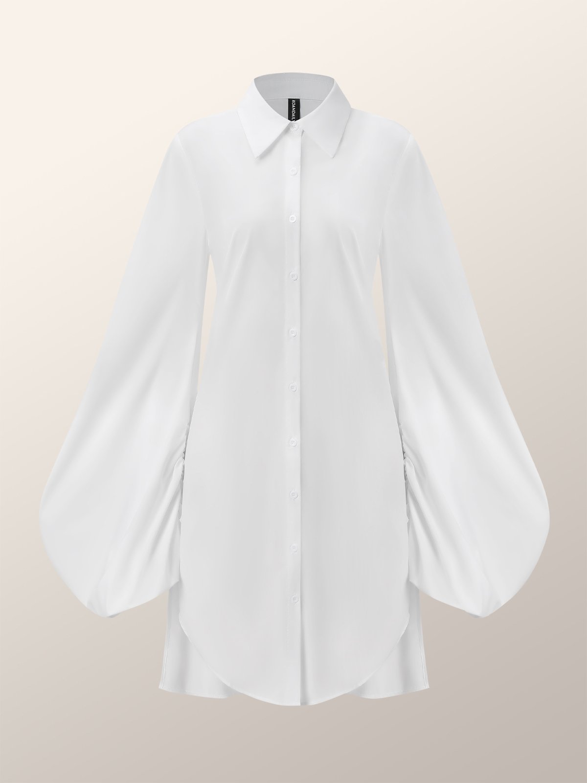 Autumn H-Line Long sleeve Shirt Collar Loose Plain Daily Dress
