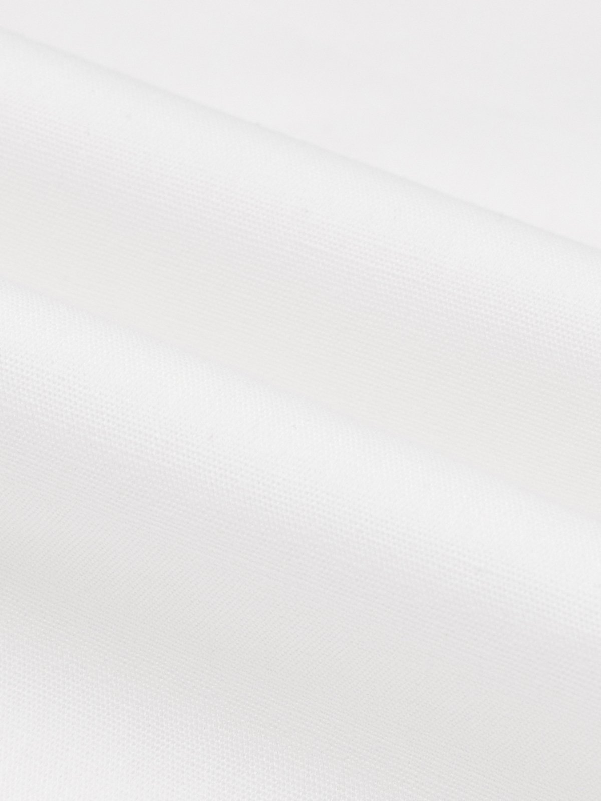Long sleeve Elegant Regular Fit Shirt Collar White Blouse | stylewe