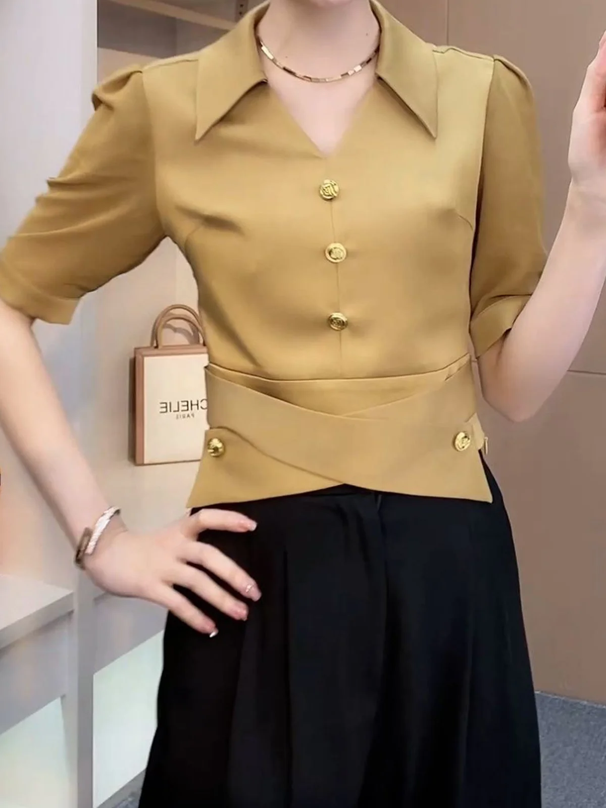 Shirt Collar Elegant Regular Sleeve Blouse