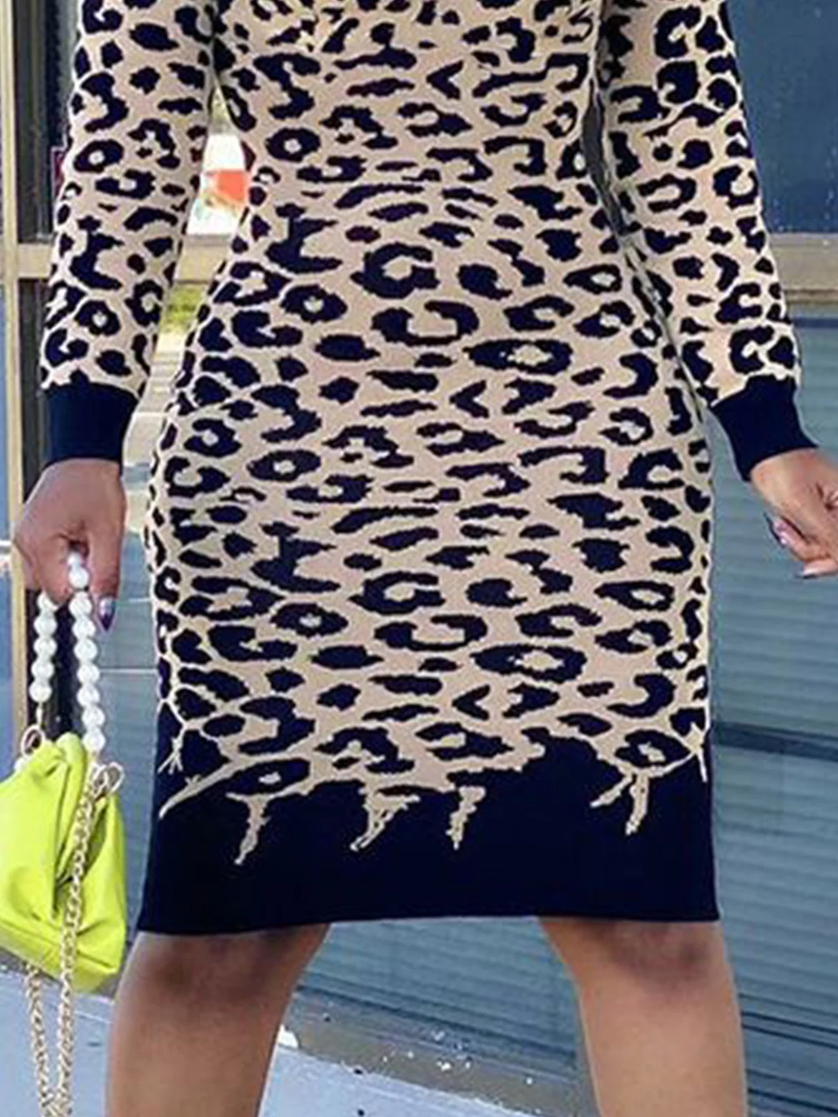 Leopard Mock Neck Urban Dress