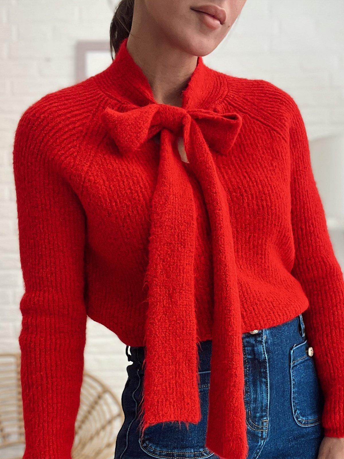 Elegant  Raglan Sleeve Plain Bow Sweater