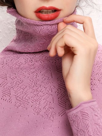 Eyelet Turtleneck Casual Top