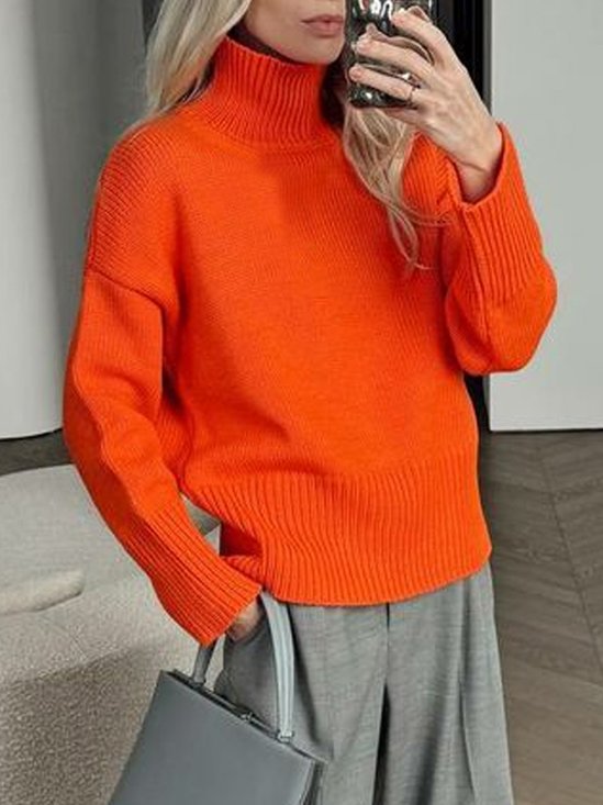 Loose Casual Daily Turtleneck Regular Sleeve Sweater