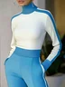 Plus Size Regular Fit Turtleneck Urban Regular Sleeve Color Block Sweater